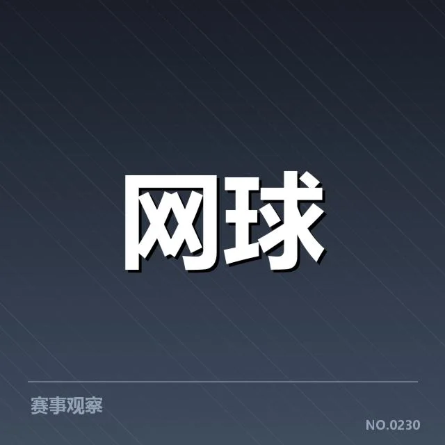 官方公布的伤病及恢复情况